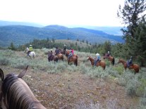 4H Ranch Horse group.